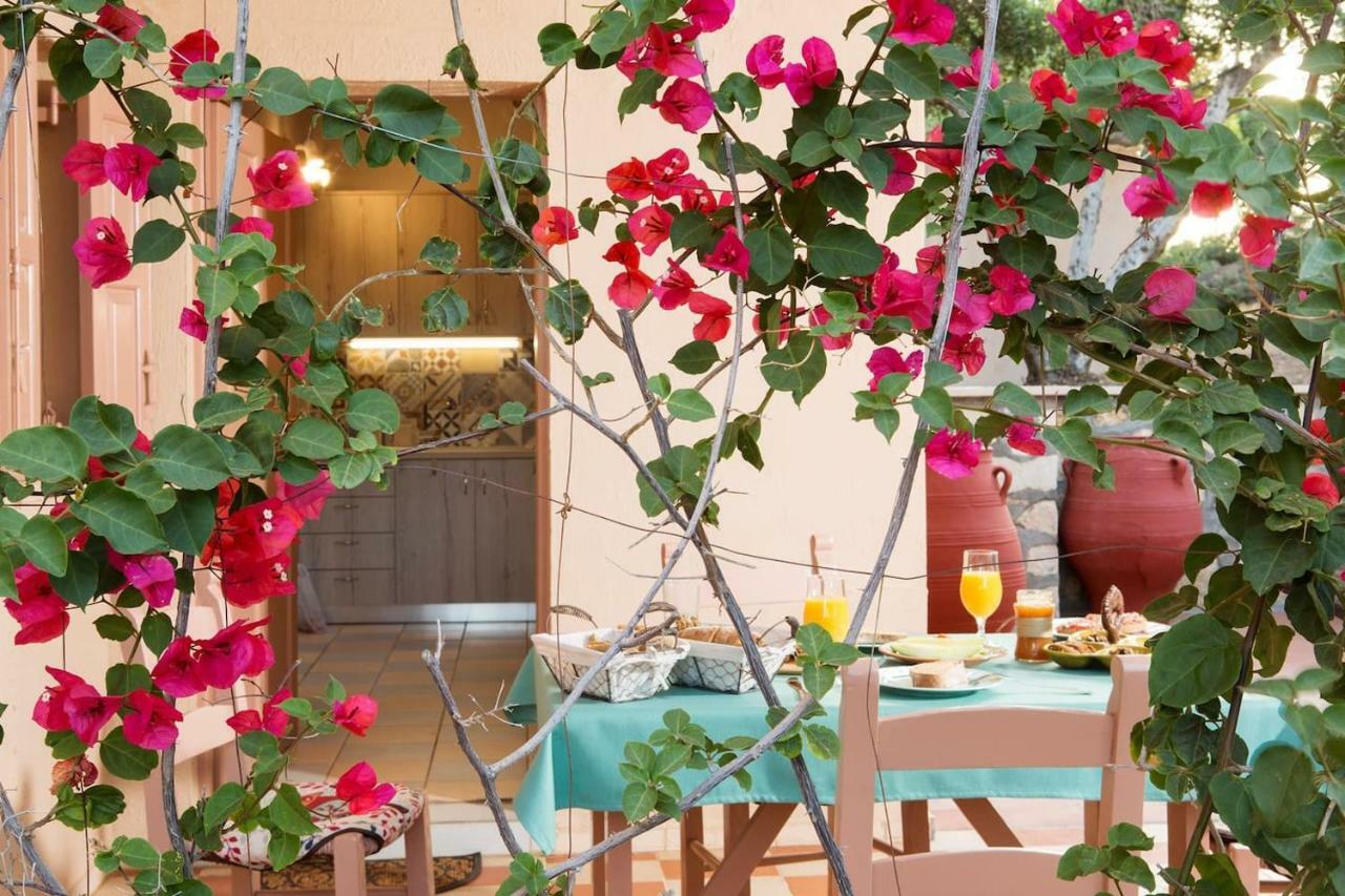 White Sand Villa. Spacious Villa With Prive Pool. Agia Pelagia  Ngoại thất bức ảnh